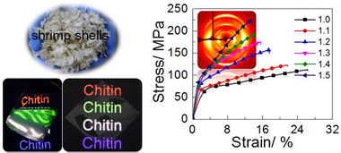 高強度透明甲殼素膜制備取得突破